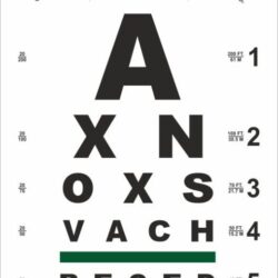 Literate-Eye-chart-Heuer-New-Static-QR-COde-24-2-2026.jpg-528x1039