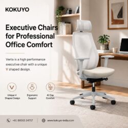 Executive Chairs for Professional Office Comfort (1)