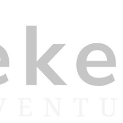 Logo-light