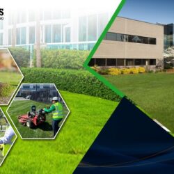 Commerical landscaping Company