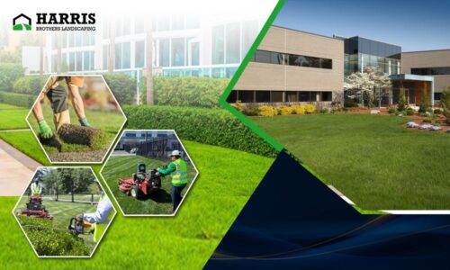 Commerical landscaping Company Commerical landscaping Company