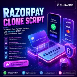 razorpay clone script