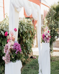 wedding cl 2