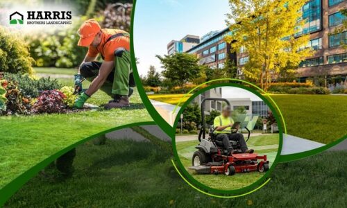 Commercial Lawn care Medford lakes,Shamong,Marlton Commercial Lawn care Medford lakes,Shamong,Marlton