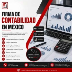 Firma De Contabilidad En México