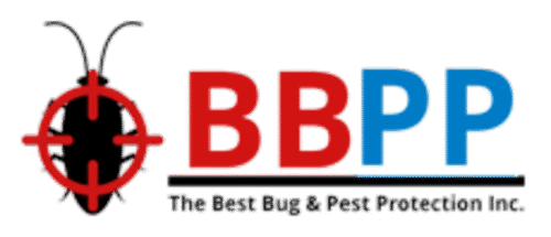 bbpp logo bbpp logo