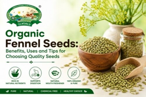 Organic Fennel Seeds Benefits, Uses and Tips for Choosing Quality Seeds Organic Fennel Seeds Benefits, Uses and Tips for Choosing Quality Seeds