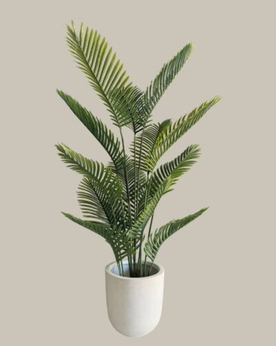imageye___-_imgi_54_Paln1 imageye___-_imgi_54_Paln1