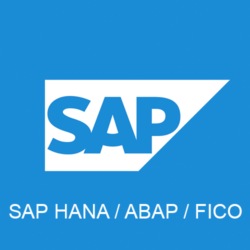 SAP ABAP And SAP FICO