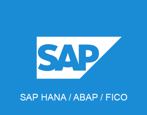 SAP ABAP And SAP FICO SAP ABAP And SAP FICO