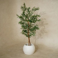 imgi_50_Faux_Olive_tree_Real_wood_180