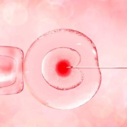 Donor Gametes