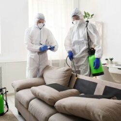 imageye___-_imgi_64_home-disinfection-by-cleaning-service-surface-treatment-from-coronavirus.jpg.bv