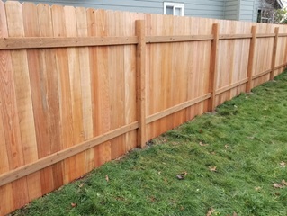 Fence Fence