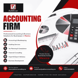 Accounting Firm in Mexico