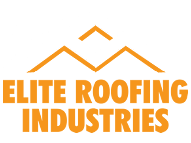 logo1+(1) logo1+(1)