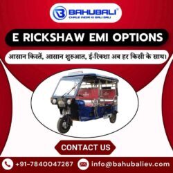 E Rickshaw EMI Options