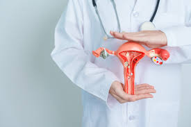 UTERINE UTERINE