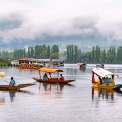 kashmir honeymoon tour package (1)