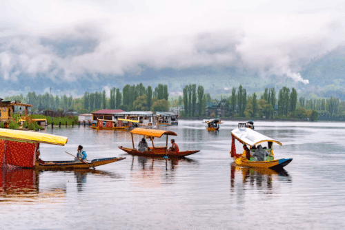 kashmir honeymoon tour package (1) kashmir honeymoon tour package (1)