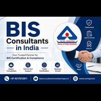 BIS Consultancy (1) BIS Consultancy (1)
