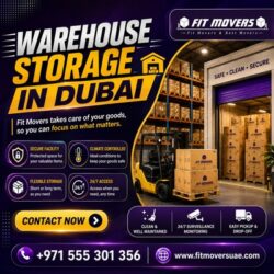 Warehouse Storage in Dubai (2) (1)