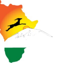 Nyange-logo-white-scaled