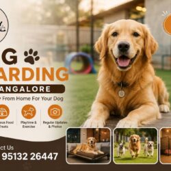 Dog Boarding In Bangalore