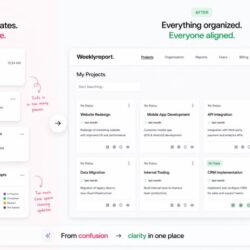 project reporting software