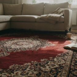 magnific_cozy-openplan-apartment-l_VXmQ1BCMMU-96kb