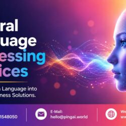 natural language - pingai