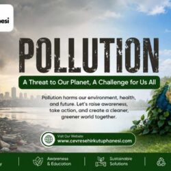 Pollution