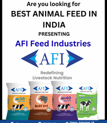 best animal feed in india - Copy