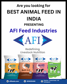 best animal feed in india - Copy best animal feed in india - Copy