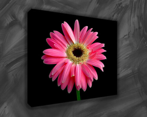 canvas prints -1 canvas prints -1