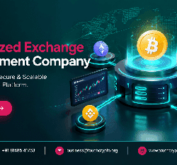 centralized_exchange_development_1_optimized_200
