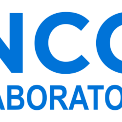 ncqc-llp-logo