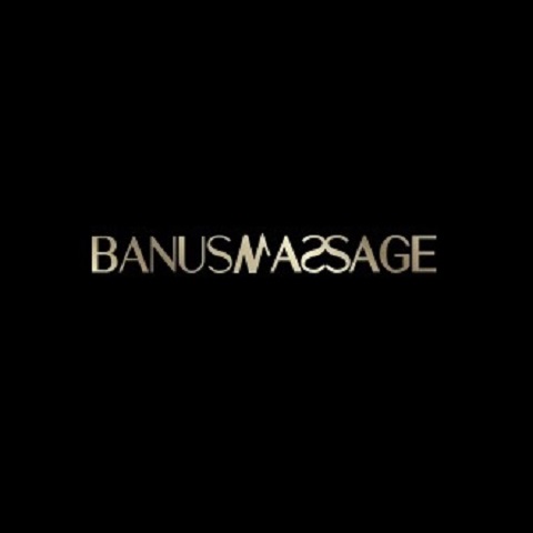 banus logo banus logo