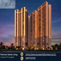 httpswww.auraworldgurgaon.co.in-3000x3000-90kb