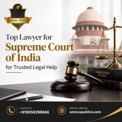 Top Lawyer for Supreme Court of India for Trusted Legal Help