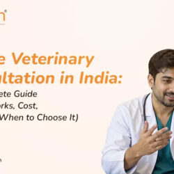 Online Veterinary Consultation in India
