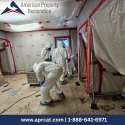 Asbestos Abatement (4)
