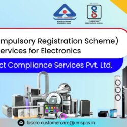 BIS CRS ELECTRONIC UMSPCS