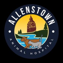 Allenstown Animal Hospital (5)