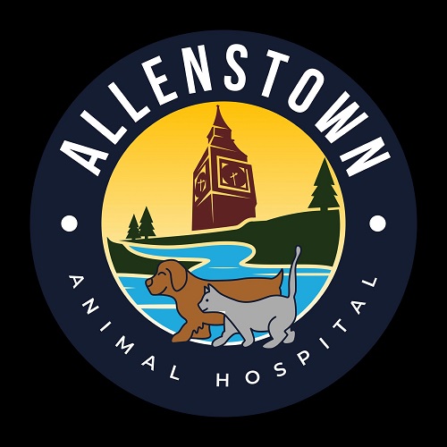 Allenstown Animal Hospital (5) Allenstown Animal Hospital (5)