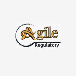 Agile Regulatory