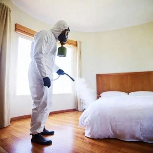 bed-bugs-treatment bed-bugs-treatment