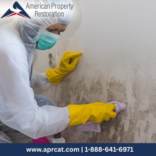 Mold Remediation (2) Mold Remediation (2)
