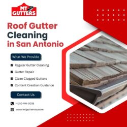 Roof Gutter Cleaning in San Antonio