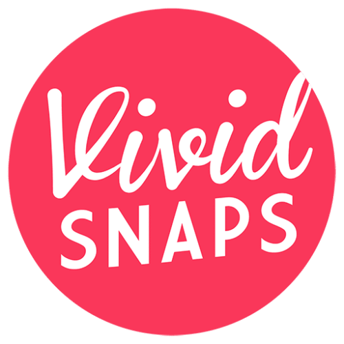Vivid Snaps logo Vivid Snaps logo